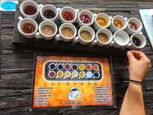 Bali Ulun Danu and Tanah Lot Tour Package 6 Authentic Kopi Luwak Kopi Luwak in Bali Bali tea and Bali Coffee 1