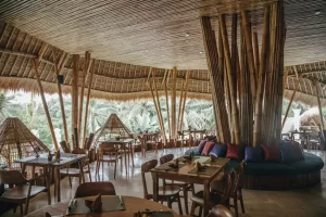 Having Lunch at The Local Restaurant G1