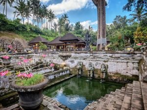 Bali Kintamani Volcano View Tour Package 3 gajah3