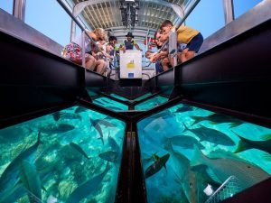 glass bottom boat tour great barrier reef 1