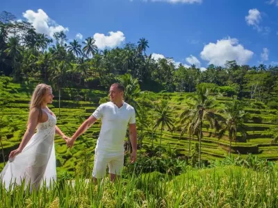 Bali Waterfall and Best Ubud Tour Package